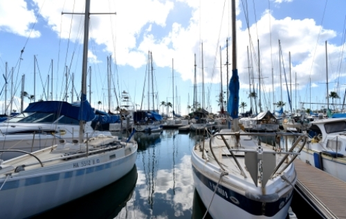 pict-アラワイハーバー 21.jpg