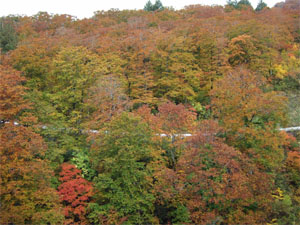 川原毛1.jpg