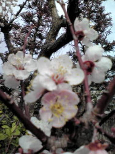 20120308082942.jpg