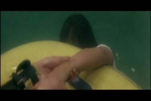 PDVD_007.jpg