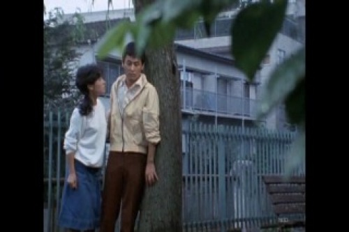 PDVD_001.jpg