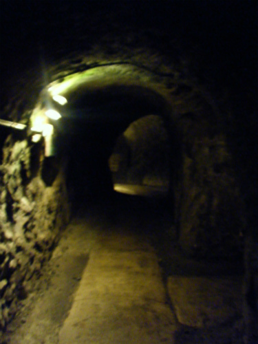 DSCF0513.jpg