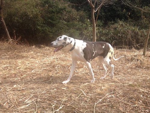 201402012217_0052_iphone.jpg