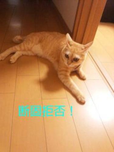 20150929_224605.jpg