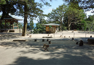 九州791.jpg