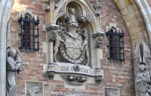 pict-グルートフーズ 5.jpg