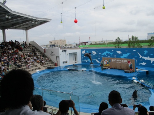 仙台うみの杜水族館