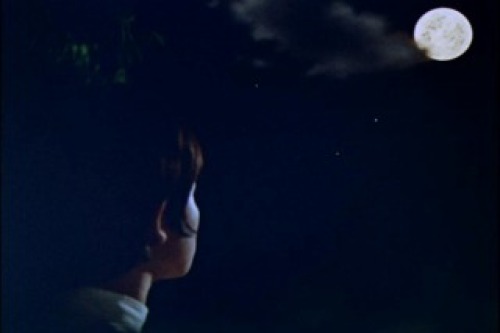 PDVD_032.jpg
