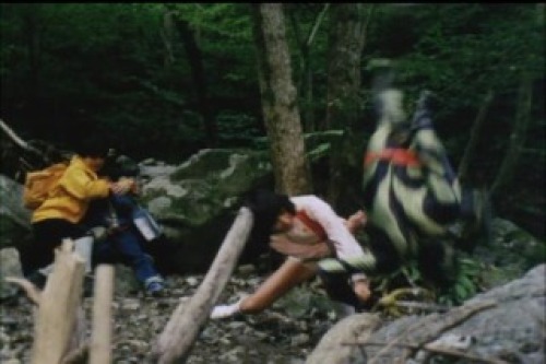 PDVD_003.jpg