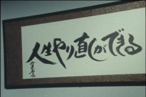 PDVD_003.jpg