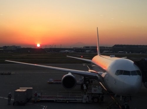 IMG_8442 (640x476).jpg