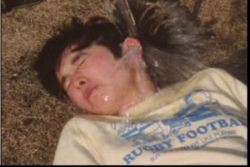 PDVD_033.jpg