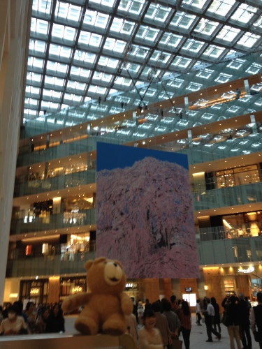 201304101130_6126_iphone.jpg