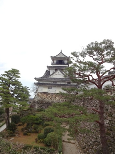 高知1日目 2  (4).JPG