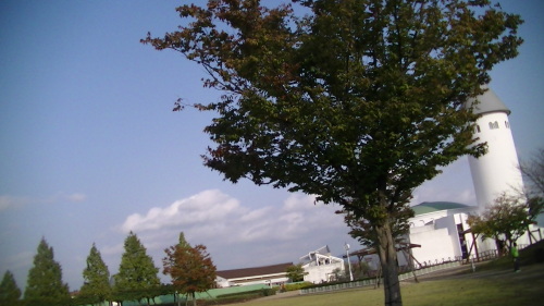 PIC_2966.JPG