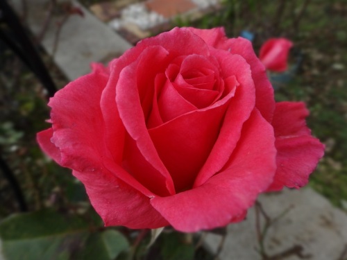 DSC00201 - コピー.jpg