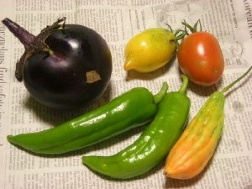 DSCN2610 (300x225).jpg