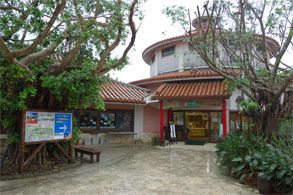 沖縄397.jpg