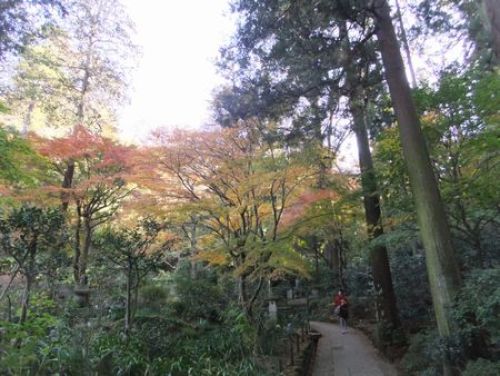 東慶寺４.jpg