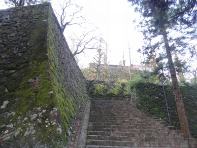 DSC00373.jpg