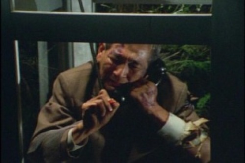 PDVD_005.jpg
