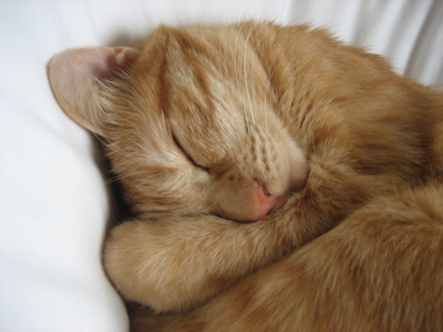 Sept. 23, 2013(10).JPG