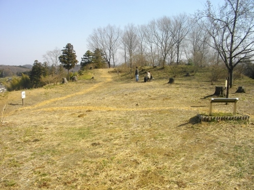 杉山城本丸 (500x375).jpg