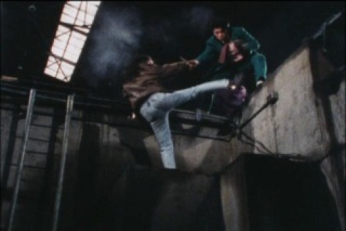 PDVD_225.jpg