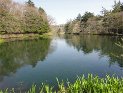 軽井沢7.jpg