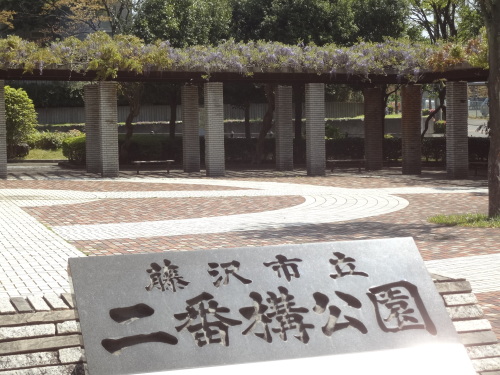 二番構公園の藤.JPG