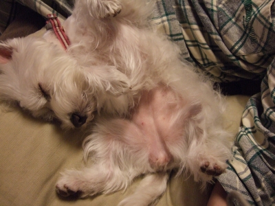 20100424.jpg