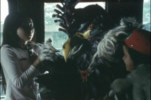 PDVD_020.jpg