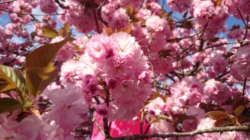 CYMERA_20170517_143546.jpg