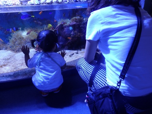 水族館3.JPG