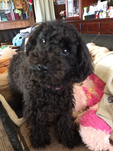 IMG_8672 - コピー.JPG