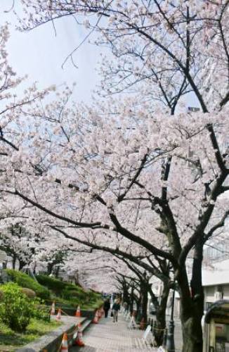 2009年02月26日_CIMG6615.JPG