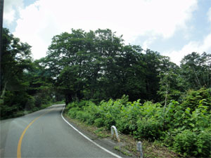 立山16.jpg