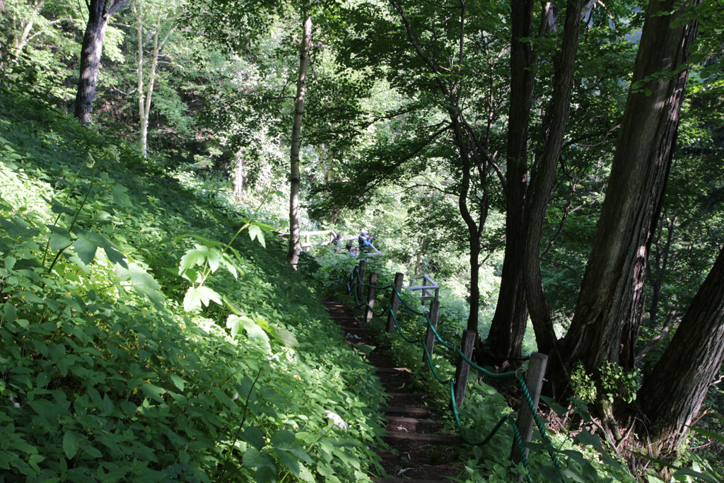 Daisetsu2017071417.JPG
