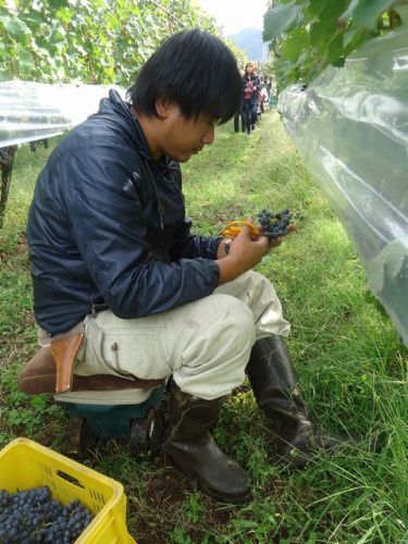 C:\fakepath\丸藤08.JPG