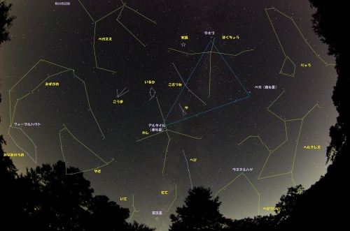 120911大三角南西星座表示b30IMGP1101.jpg
