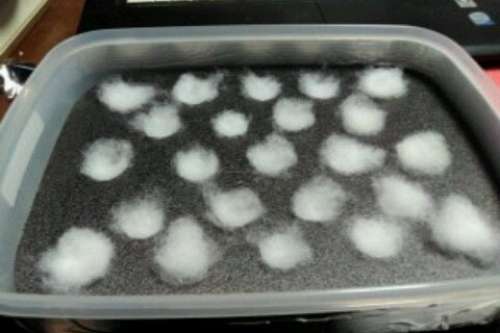 2016-11-26 19-14-46.jpg