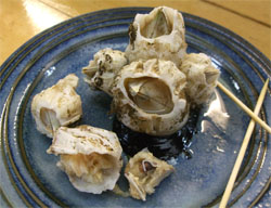 磯しま4.jpg