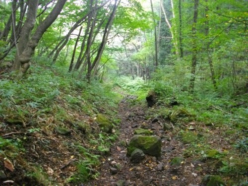 榛名外輪山伊香保関東ふれあいの道 (4) (500x375).jpg