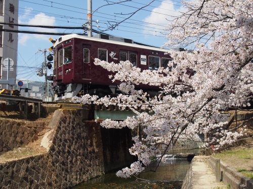 夙川公園2.JPG