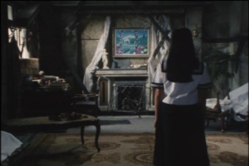 PDVD_009.jpg