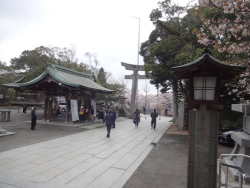 2.2016年桜 宮地嶽神社 (21).JPG