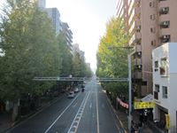 IMG_0002_R.JPG