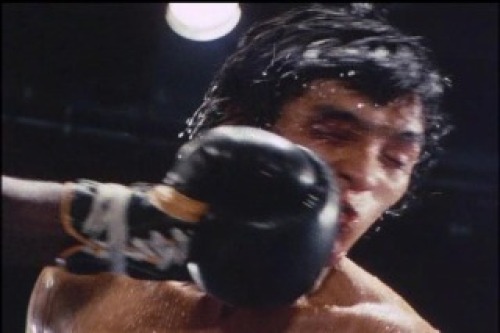 PDVD_020.jpg