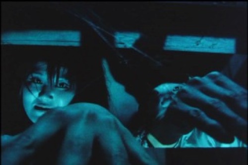 PDVD_120.jpg