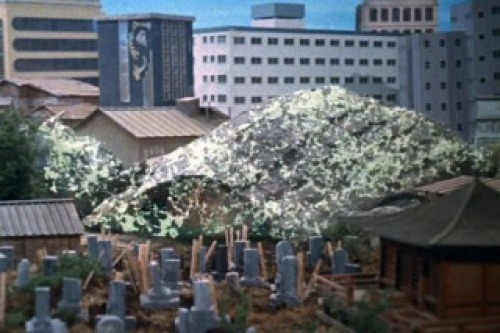 PDVD_029.jpg